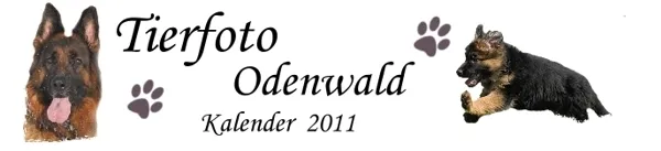 Tierfoto Odenwald