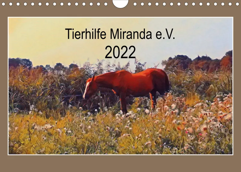 Tiere auf dem Gnadenhof