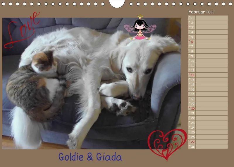 Tiere auf dem Gnadenhof