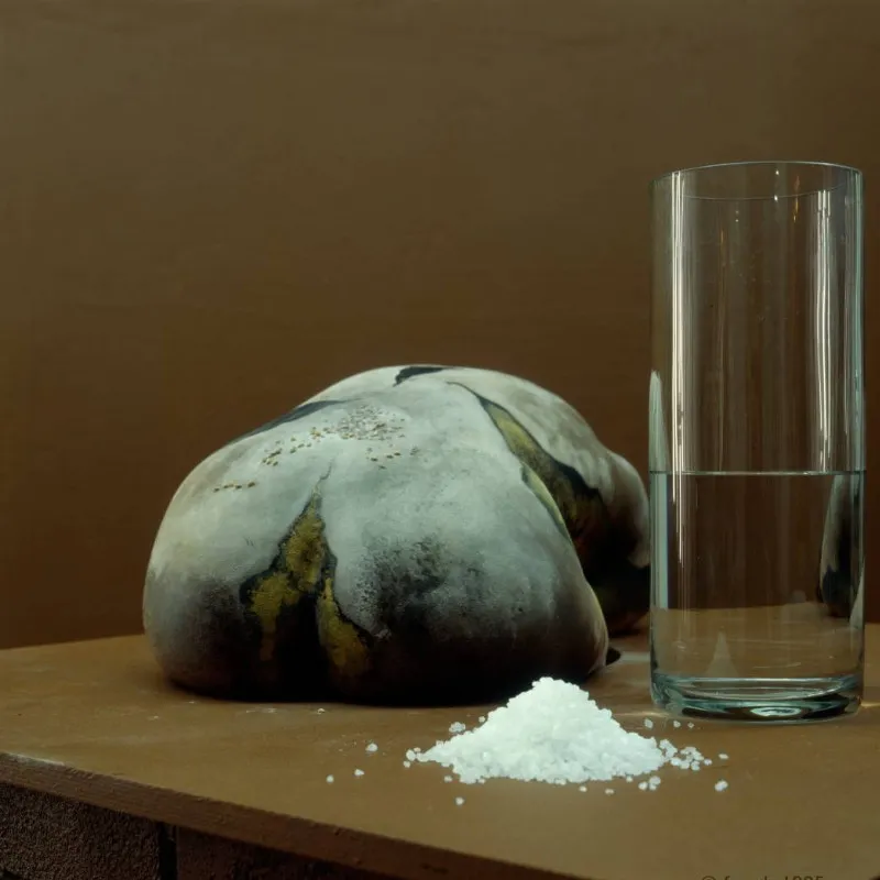 Brot, Salz, Wasser / Nr. 11