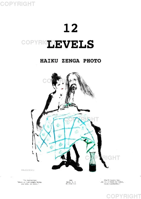 12 Levels / Posterbuch