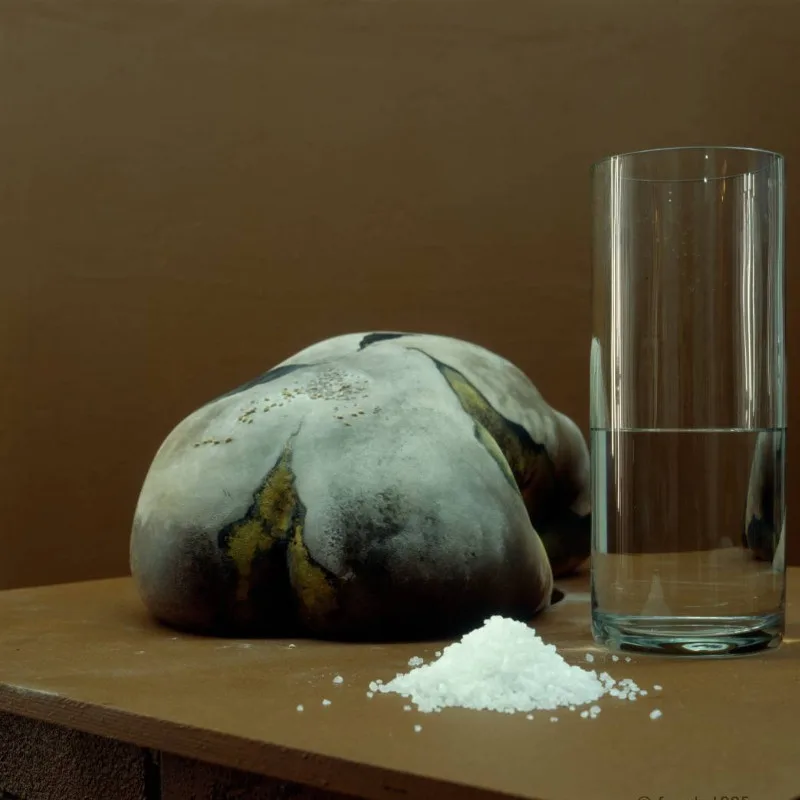 Brot, Salz, Wasser / Nr. 11