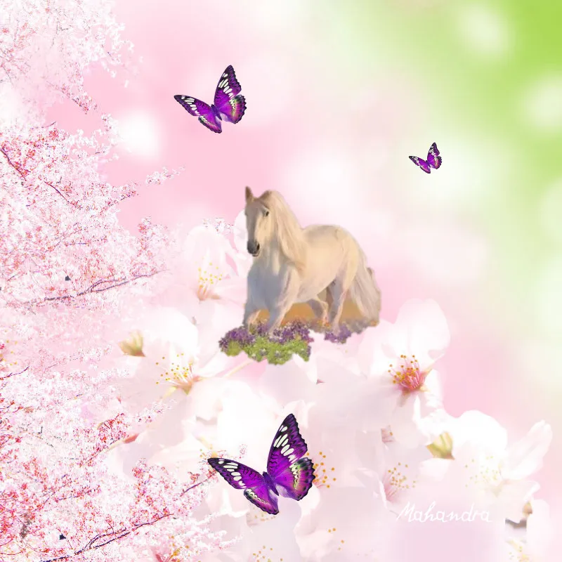 Drachenliebe