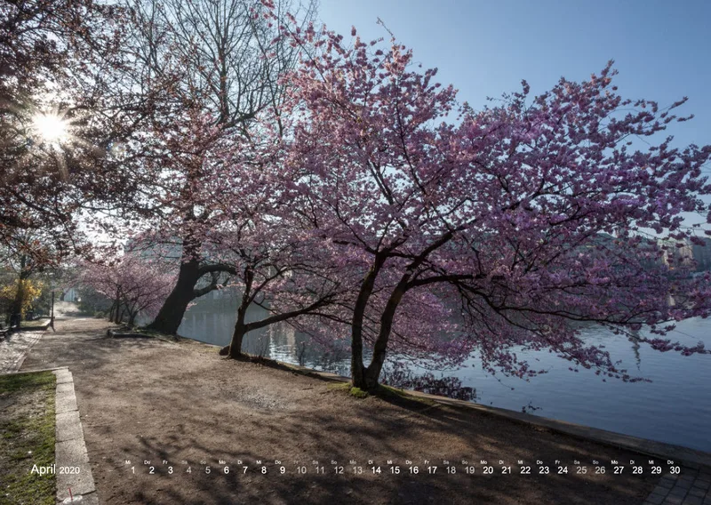 HAMBURG - IN LOVE WITH THE CITY 2020 - A2 Wandkalender