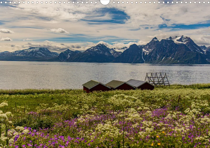 Wochenkalender A Norwegen ohne Kalendarium