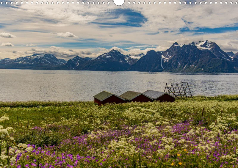 Wochenkalender A Norwegen ohne Kalendarium