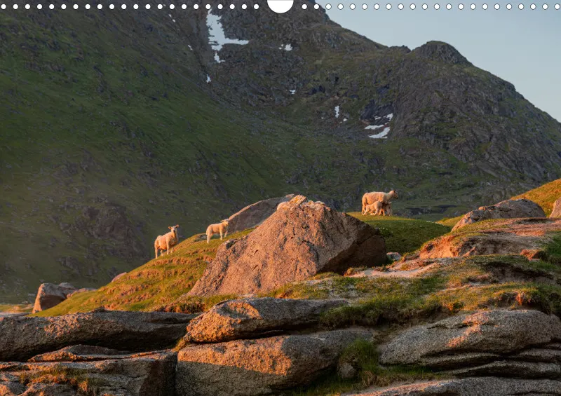 Wochenkalender A Norwegen ohne Kalendarium