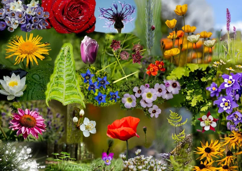 Blumen Puzzle