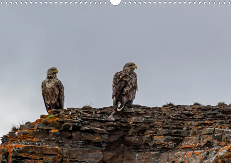 Wochenkalender A Norwegen ohne Kalendarium