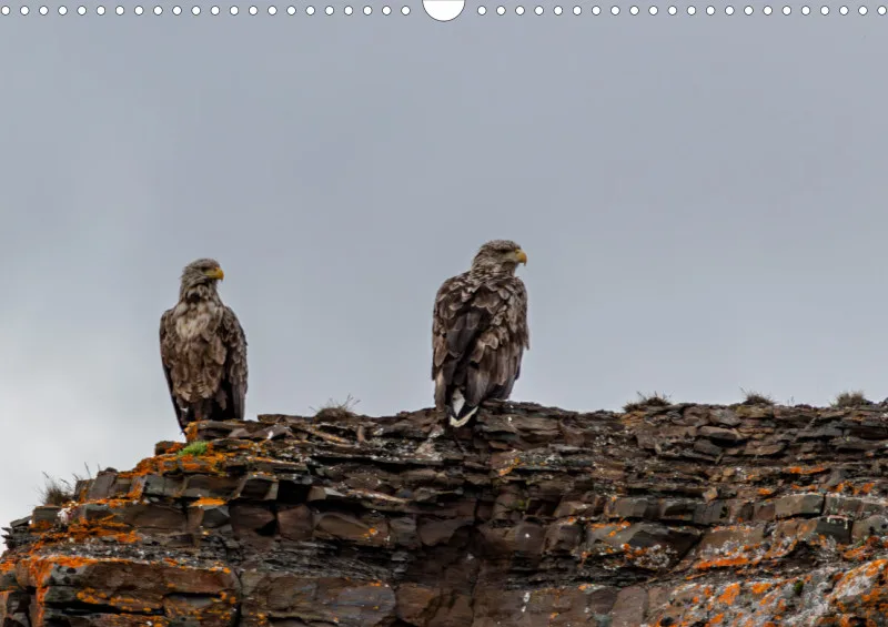 Wochenkalender A Norwegen ohne Kalendarium