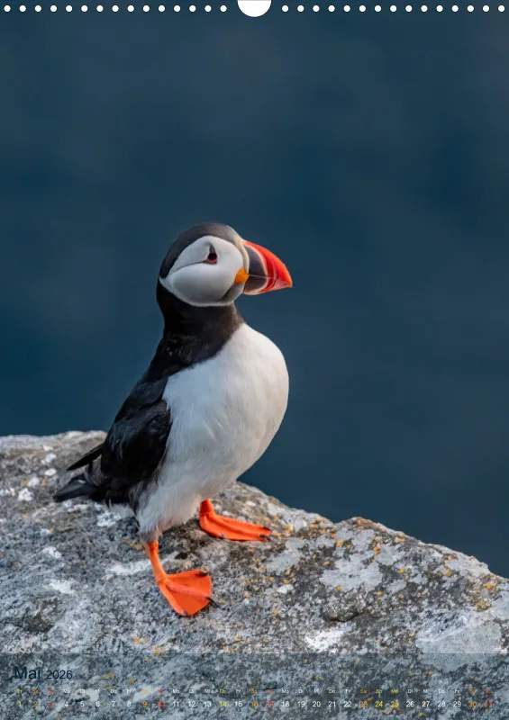 Nordische Tierwelt 2026 hoch A3