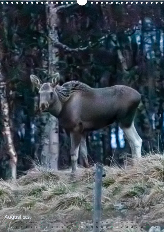Norwegen 2026 hoch A3