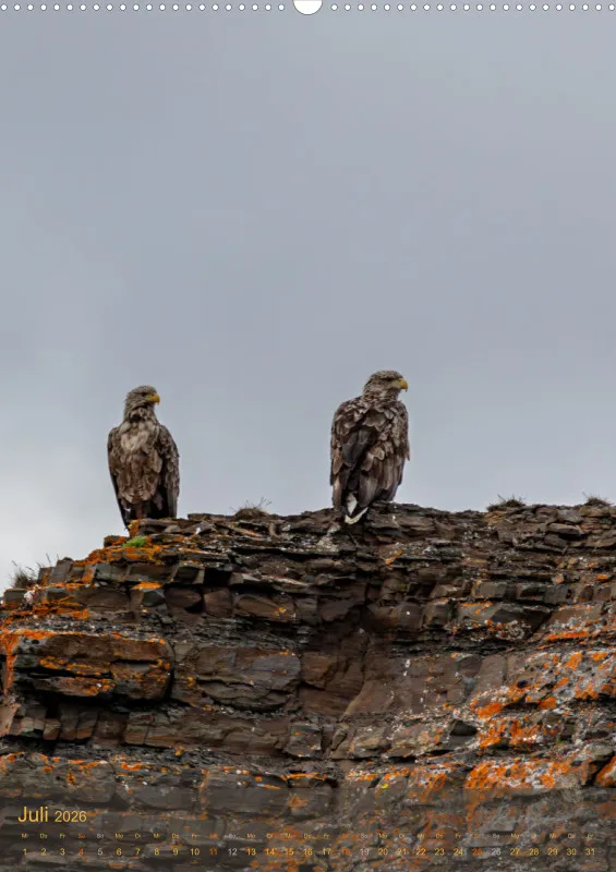 Nordische Tierwelt 2026 hoch A2