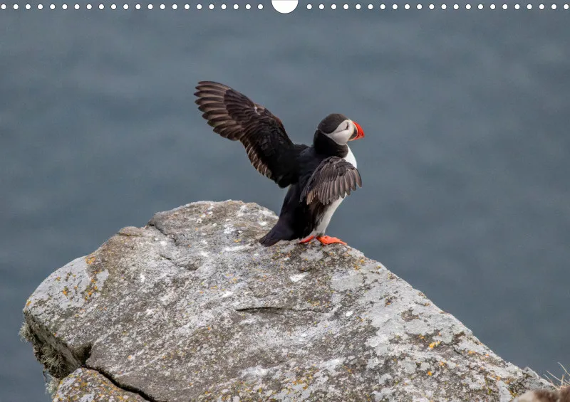 Wochenkalender B Norwegen ohne Kalendarium