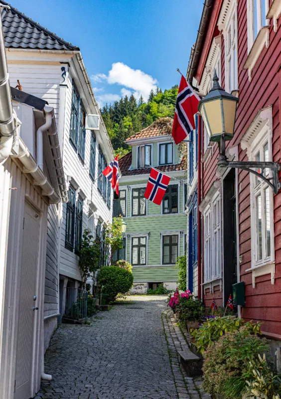 Puzzle Bergen