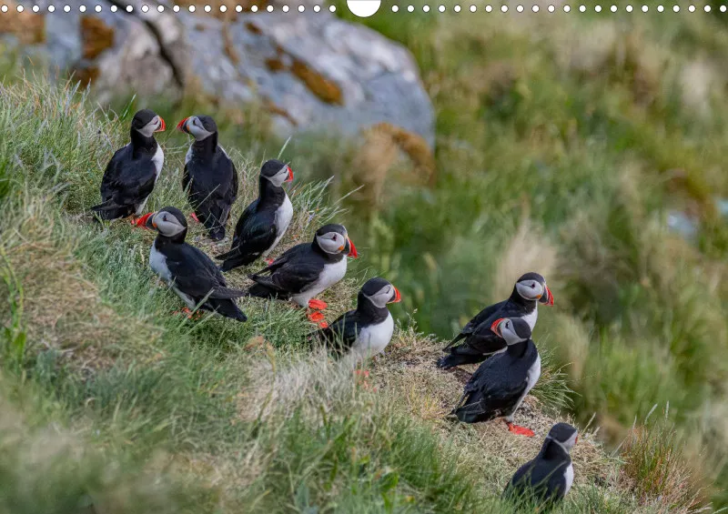 Wochenkalender B Norwegen ohne Kalendarium