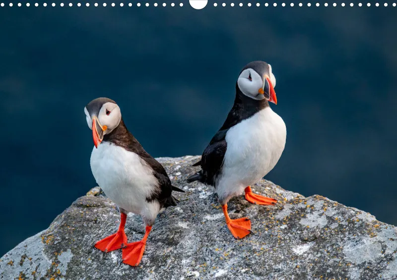 Wochenkalender A Norwegen ohne Kalendarium