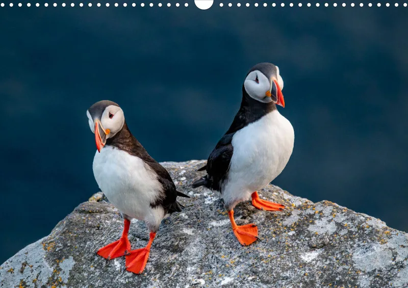Wochenkalender A Norwegen ohne Kalendarium