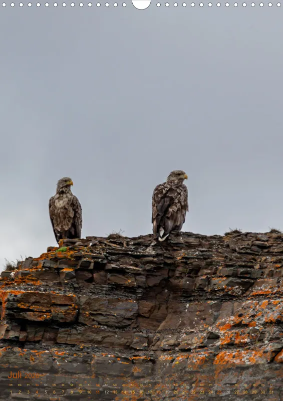Nordische Tierwelt 2026 hoch A3