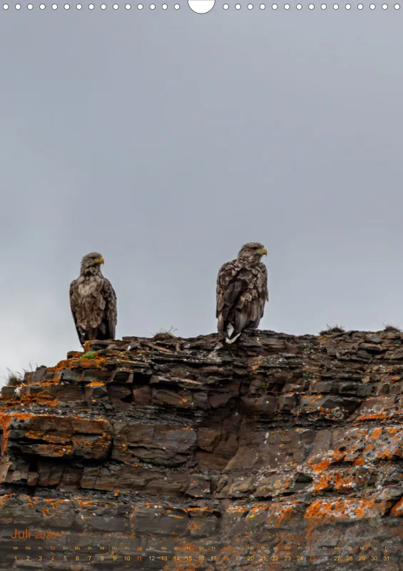 Nordische Tierwelt 2026 hoch A3