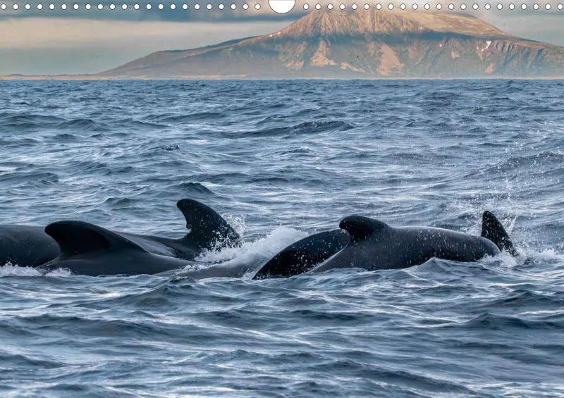Wochenkalender A Norwegen ohne Kalendarium