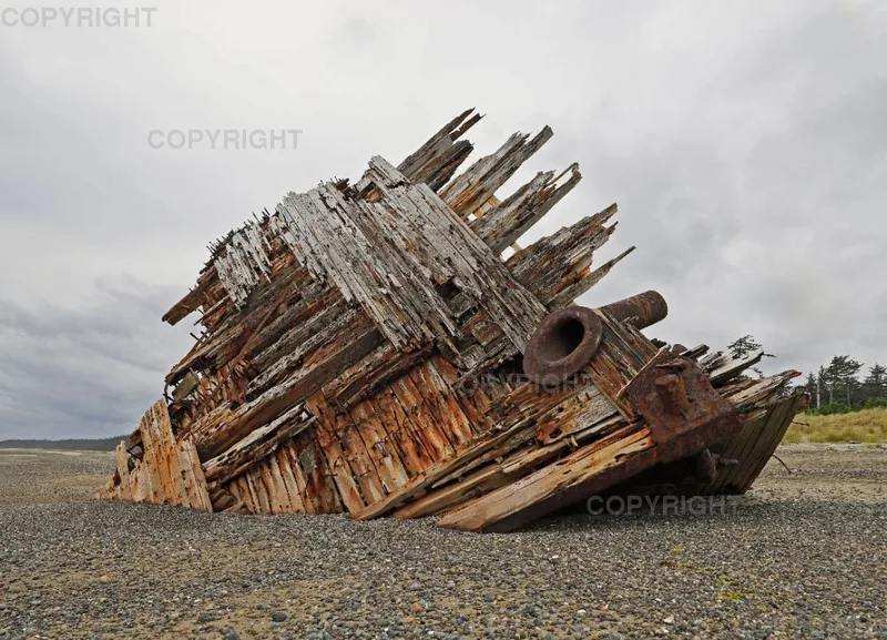 Pesuta Shipwreck 4