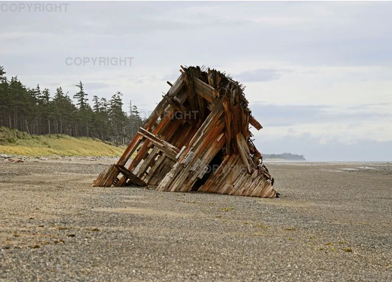 Pesuta Shipwreck 2