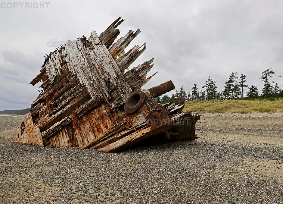 Pesuta Shipwreck 3