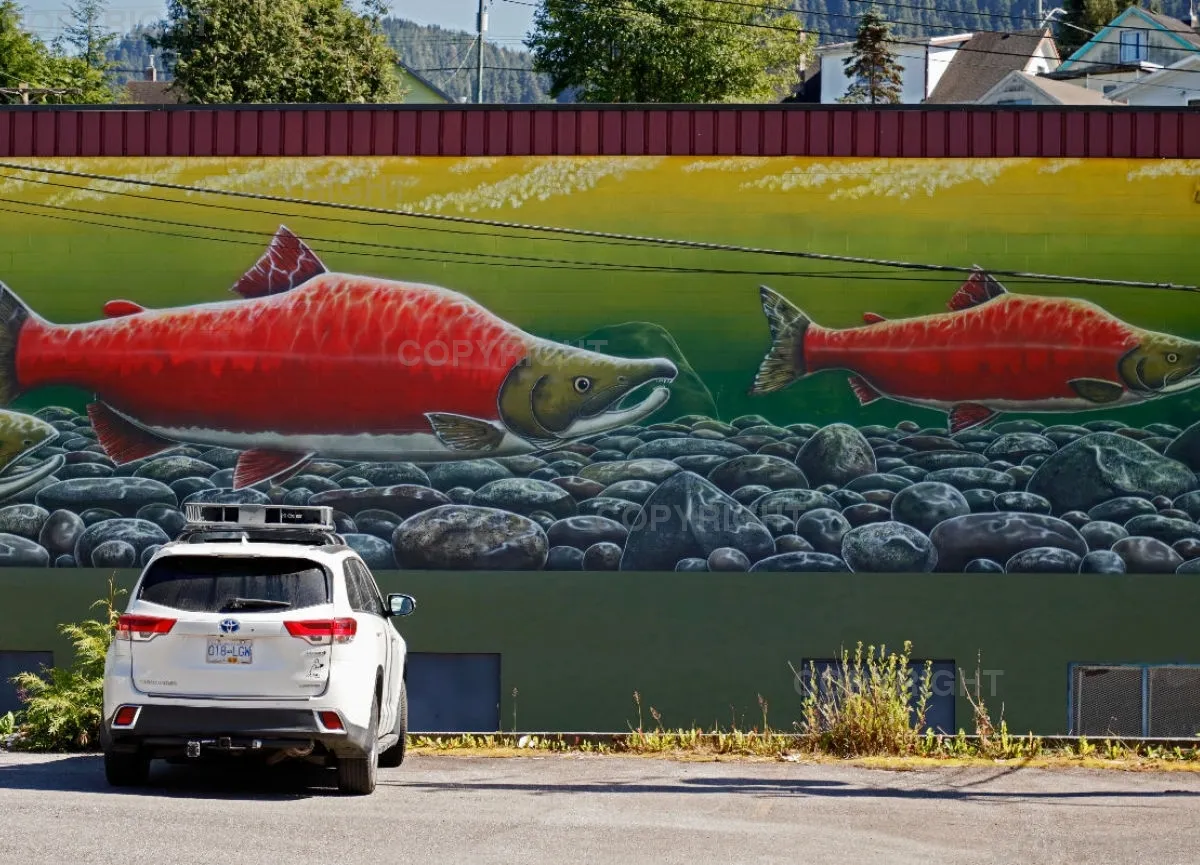 Salmon Prince Rupert