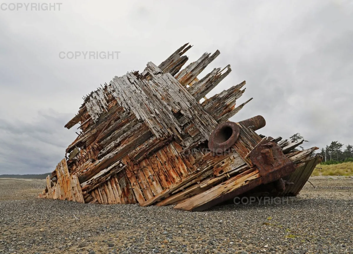 Pesuta Shipwreck 4