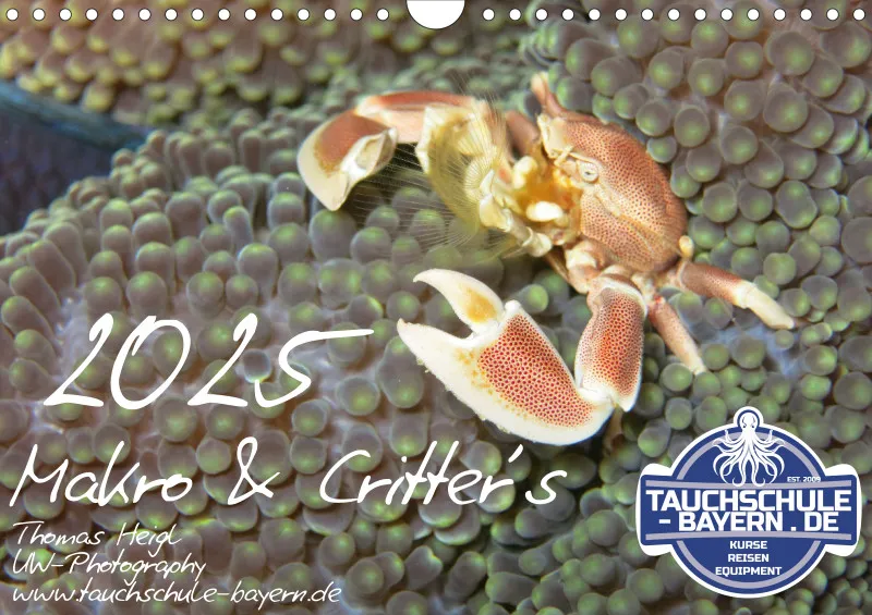 Makro & Critters - 2025 - Kalender A4
