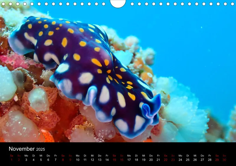 Scuba Diving - 2025 - Kalender A4