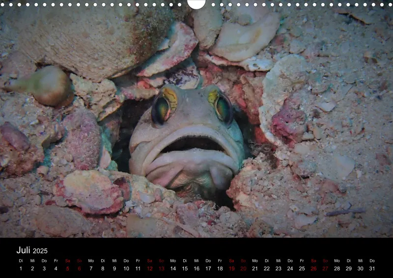 Scuba Diving - 2025 - Kalender A3