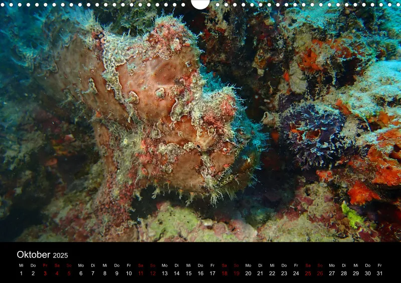 Scuba Diving - 2025 - Kalender A3