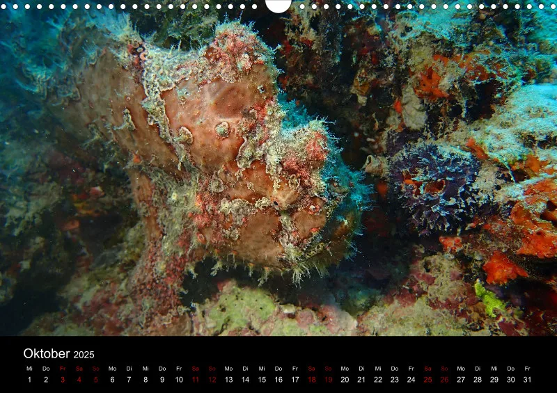 Scuba Diving - 2025 - Kalender A3