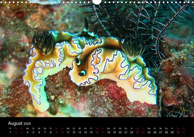 Makro & Critters - 2025 - Kalender A3