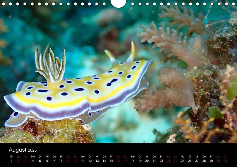 Scuba Diving - 2025 - Kalender A4