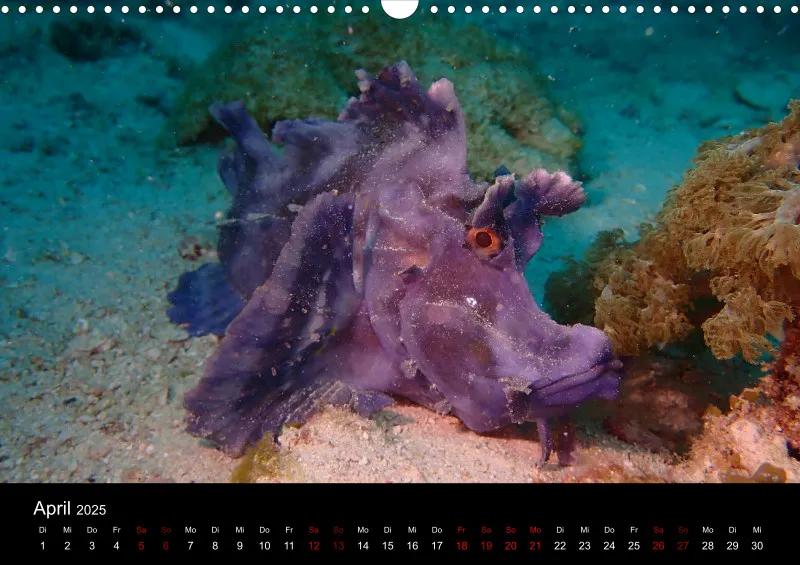 Scuba Diving - 2025 - Kalender A3
