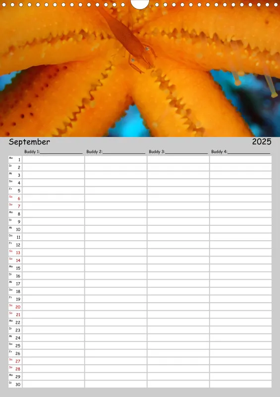 Familienplaner - Buddy-Kalender A3 Hochformat