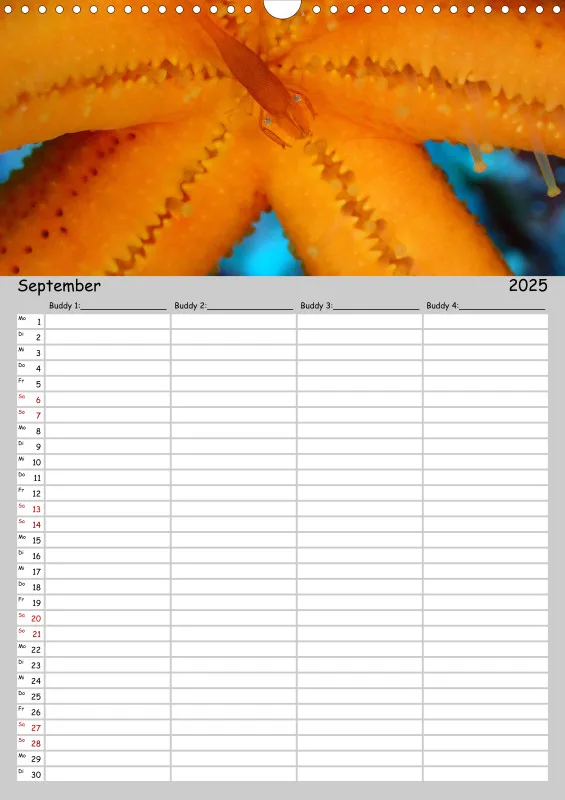 Familienplaner - Buddy-Kalender A3 Hochformat