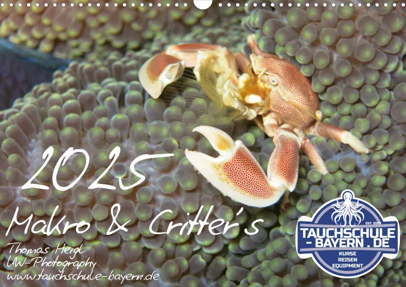 Makro & Critters - 2025 - Kalender A3