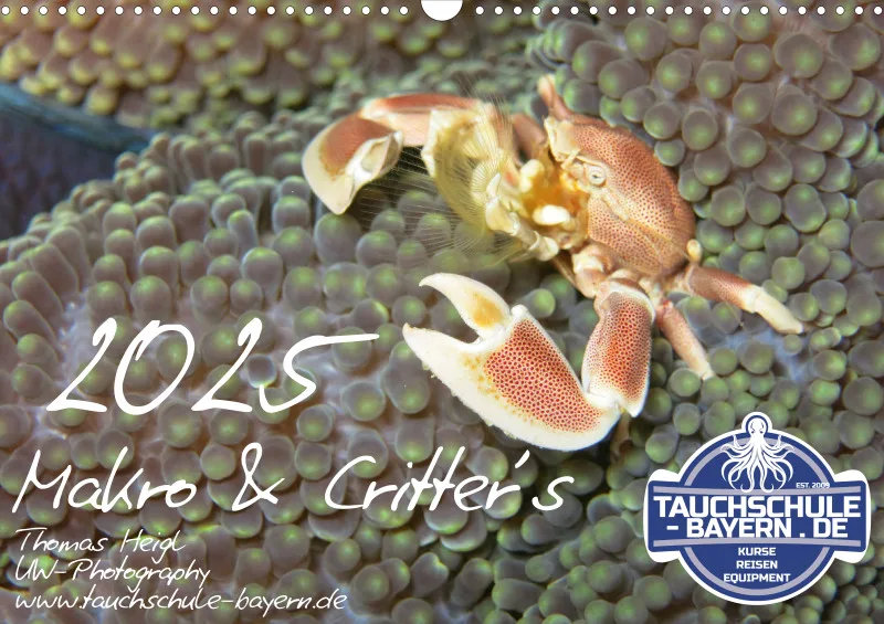 Makro & Critters - 2025 - Kalender A3