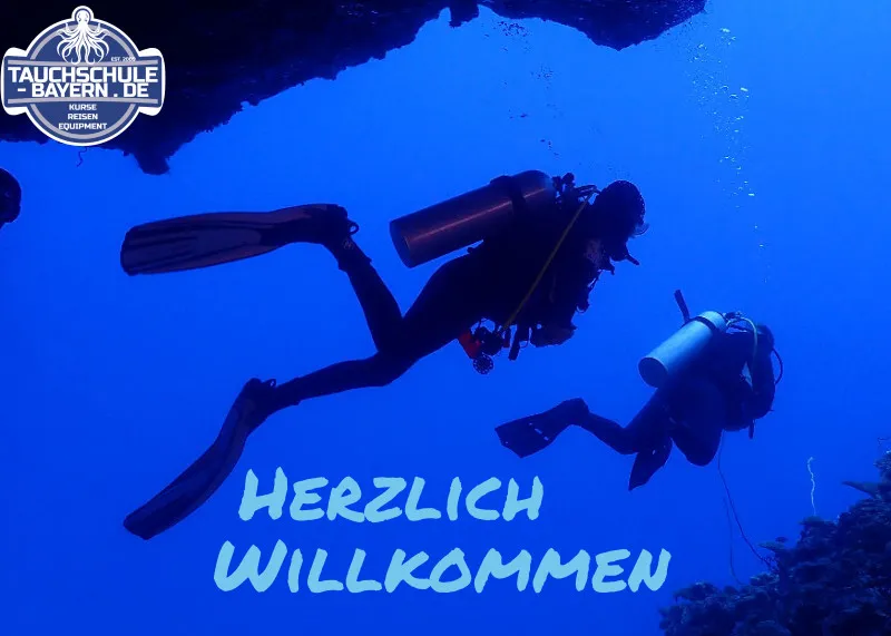 Fußabstreifer - "Diver"