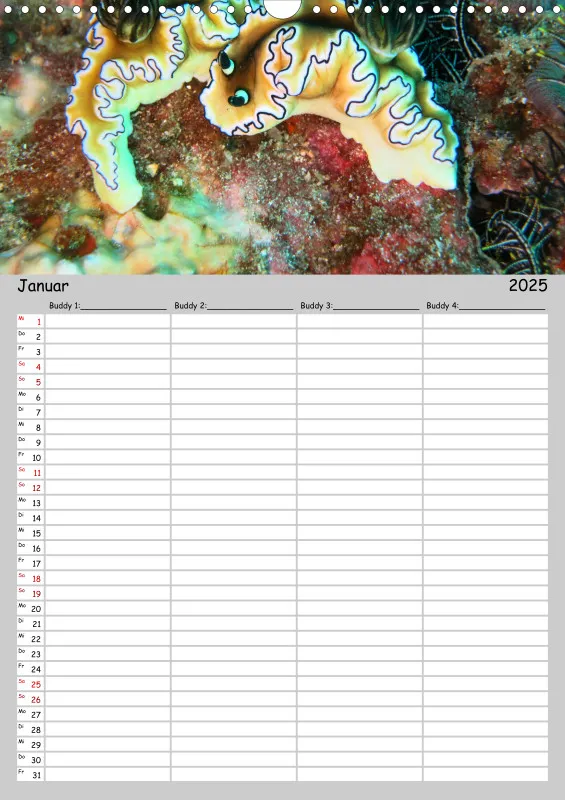 Familienplaner - Buddy-Kalender A3 Hochformat
