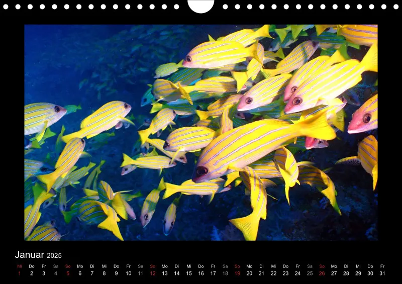 Kalender 2025 A4 Quer