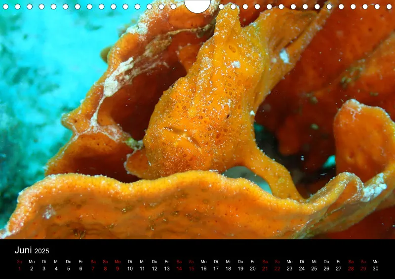Scuba Diving - 2025 - Kalender A4