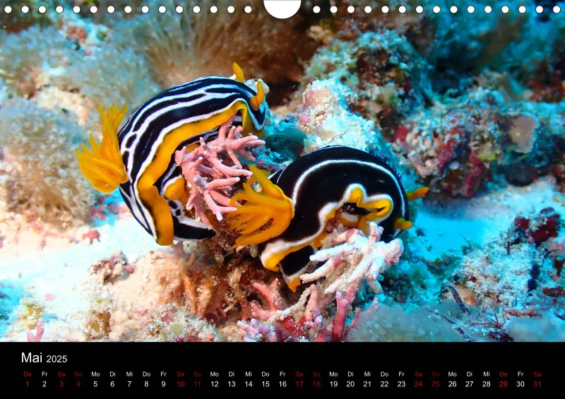 Scuba Diving - 2025 - Kalender A4