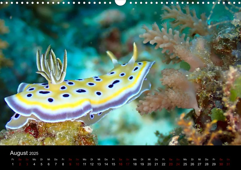 Scuba Diving - 2025 - Kalender A3