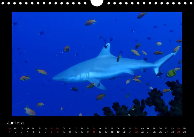 Kalender 2025 A4 Quer