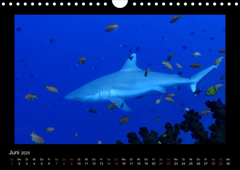 Kalender 2025 A4 Quer